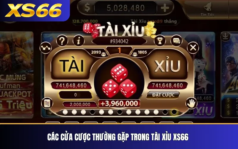 Các cửa cược thường gặp trong Tài Xỉu XS66