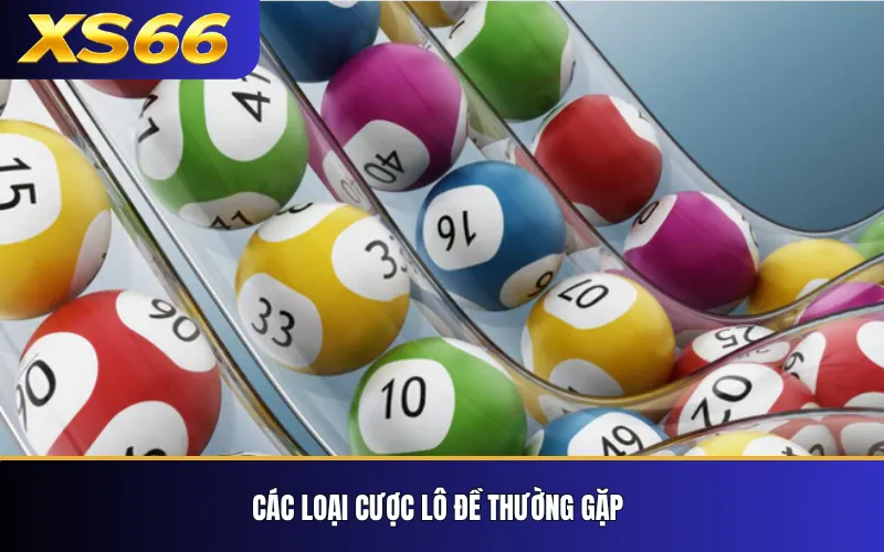 Lô Đề XS66 – Các Loại Cược Và Cách Tính Kết Quả 3 Các loại cược lô đề thường gặp