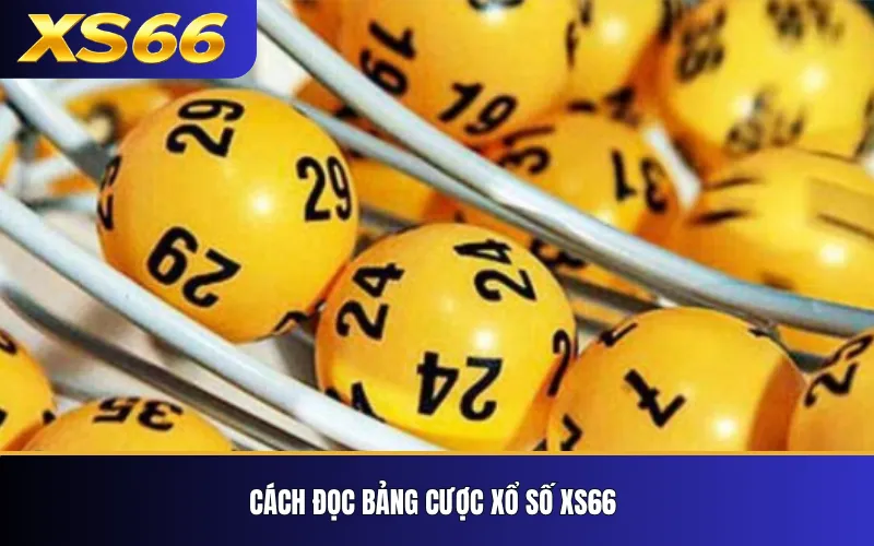 Xổ Số XS66 – Các Loại Hình Và Cách Đọc Bảng Cược 3 Cách đọc bảng cược xổ số XS66