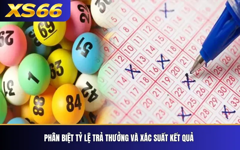 Xổ Số XS66 – Các Loại Hình Và Cách Đọc Bảng Cược 4 Phân biệt tỷ lệ trả thưởng và xác suất kết quả