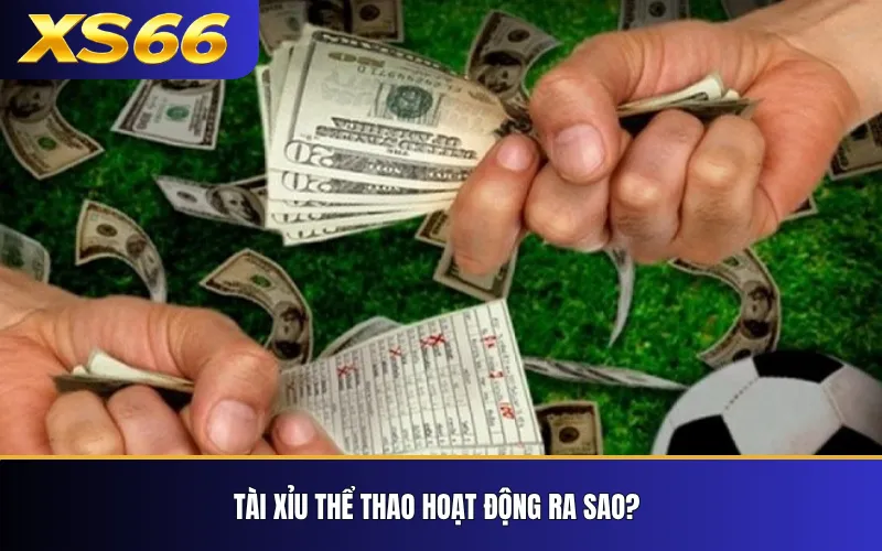 Tài xỉu thể thao hoạt động ra sao?