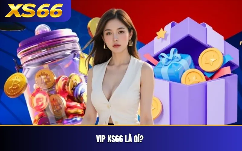 VIP XS66 là gì?